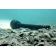 Torche TK70 sous l'eau