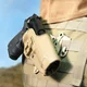 La plateforme CQC de BlackHawk en situation