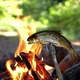 Grandpa's FireFork